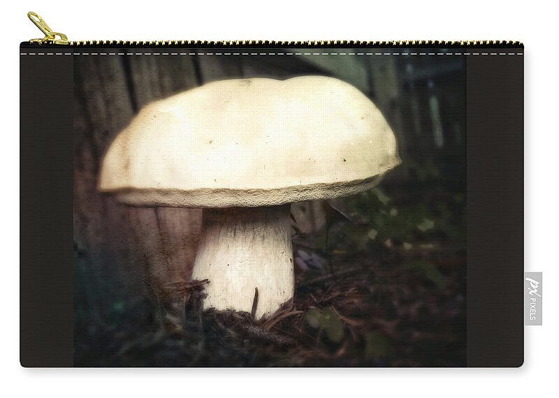 Mushroom Zip Pouch featuring the photograph Mushroom by Robert Dann