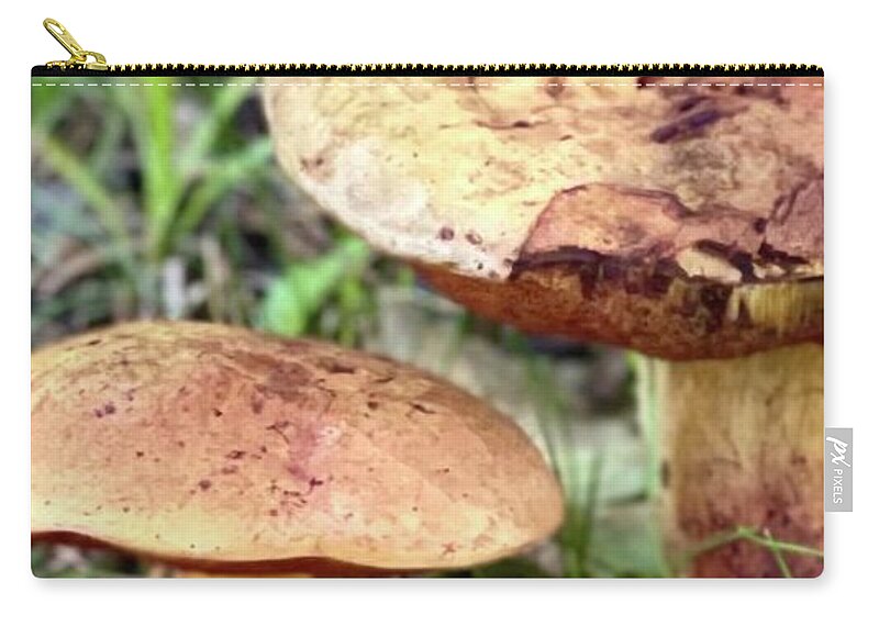 Mushrooms Zip Pouch featuring the photograph Mushrooms by Deena Withycombe
