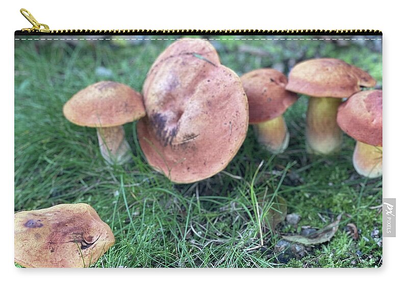 Mushrooms Zip Pouch featuring the photograph Mushy by Deena Withycombe
