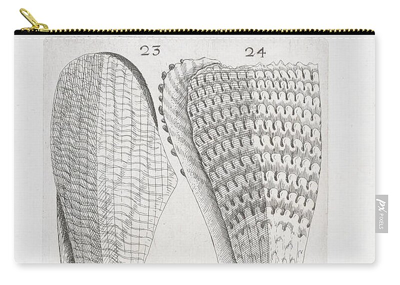 Mussel Zip Pouch featuring the digital art Mussel Sketch - 1681 by Kim Kent