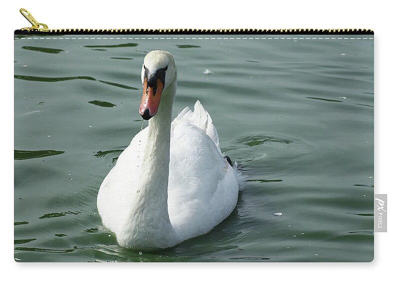  Carry-all Pouch featuring the photograph Mute Swan by Heather E Harman
