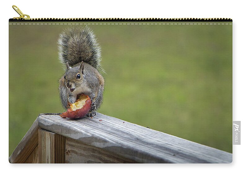Squirrel Zip Pouch featuring the photograph My Apple by M Kathleen Warren