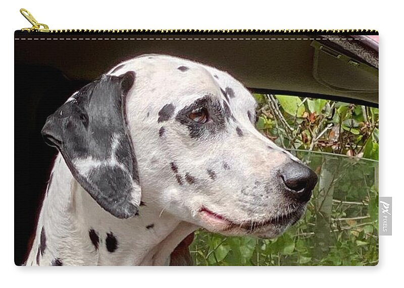 Dalmatian Zip Pouch featuring the photograph My Fire Dog by Forrest Fortier