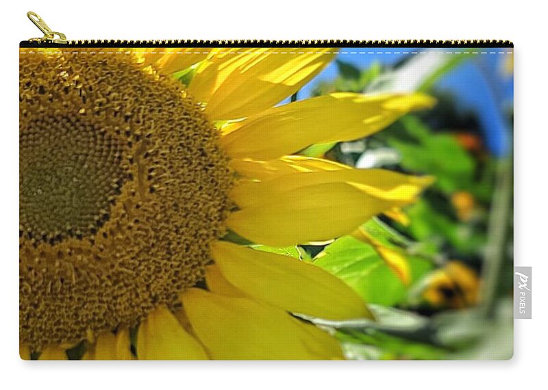 Sunflower Zip Pouch featuring the photograph My Good Side by Terry Ann Morris