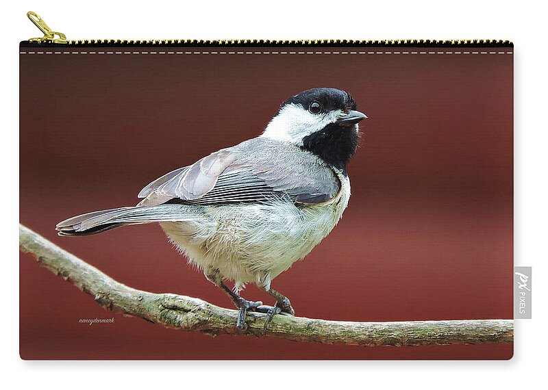 Chickadee Zip Pouch featuring the photograph My Little Chickadee by Nancy Denmark