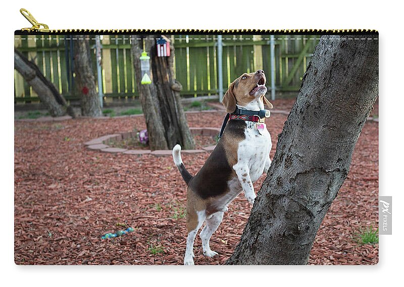 Dog Carry-all Pouch featuring the photograph My Yard by C Winslow Shafer