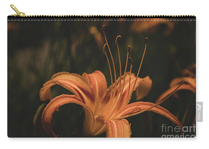 Flower Zip Pouch featuring the photograph Mysterious Daylily by Adelaide Lin