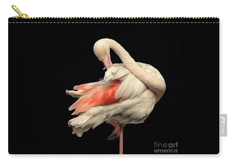 Flamingo Posing Ballerina Gentle Delicate Red Black Flexible Long Neck Curved White Pink Animal Big Elegant Elegance Single Alone Beauty Handsome Expressionistic Figure Character Expressive Charming Aesthetic Singular Shaped Modelling Posture Bird Natural History Powerful Beautiful Attractive Creative Stylish Striking Amazing Solo Fantastic Fabulous Proud Flexible Beak Vivid Contrast Sentimental Solitary Lonely Lonesome Loner Style Shy Hidden Feathers Standing One Leg Pretty Delightful Shy Wing Carry-all Pouch featuring the photograph Beautiful Flamingo Posing On One Leg Like A Ballerina On Effective Black Background by Tatiana Bogracheva
