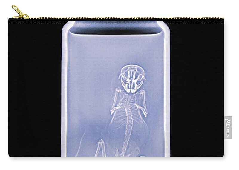 Mammal Zip Pouch featuring the photograph NA Deermouse -1 by Rob Graham