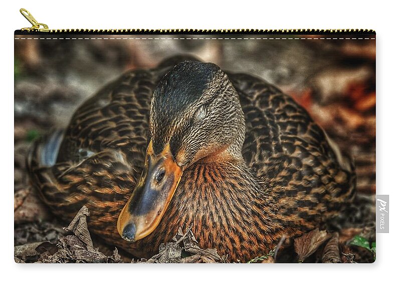 Photo Zip Pouch featuring the photograph Nap time by Evan Foster