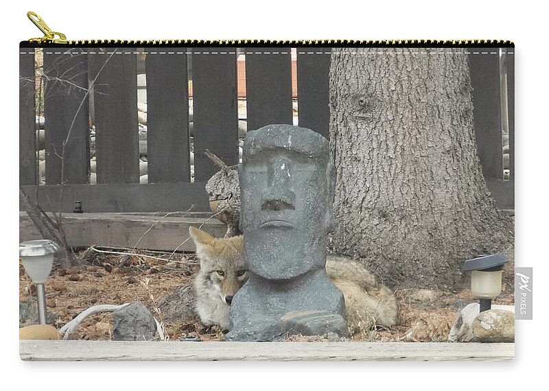 Coyote Zip Pouch featuring the photograph Napping coyote by Lisa Mutch