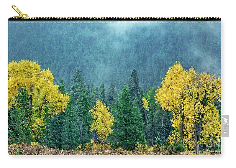 Dave Welling Carry-all Pouch featuring the photograph Narrowleaf Cottonwoods And Blur Spruce Trees In Grand Tetons by Dave Welling