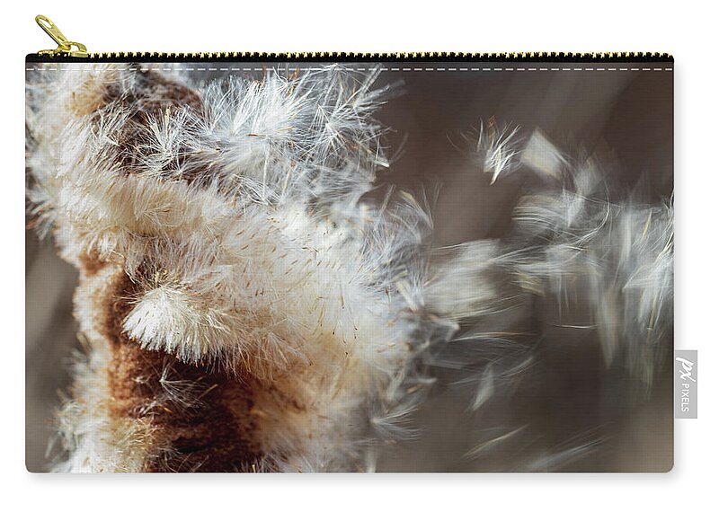 Plants Zip Pouch featuring the photograph Nature Photography - Cattail In The Wind by Amelia Pearn