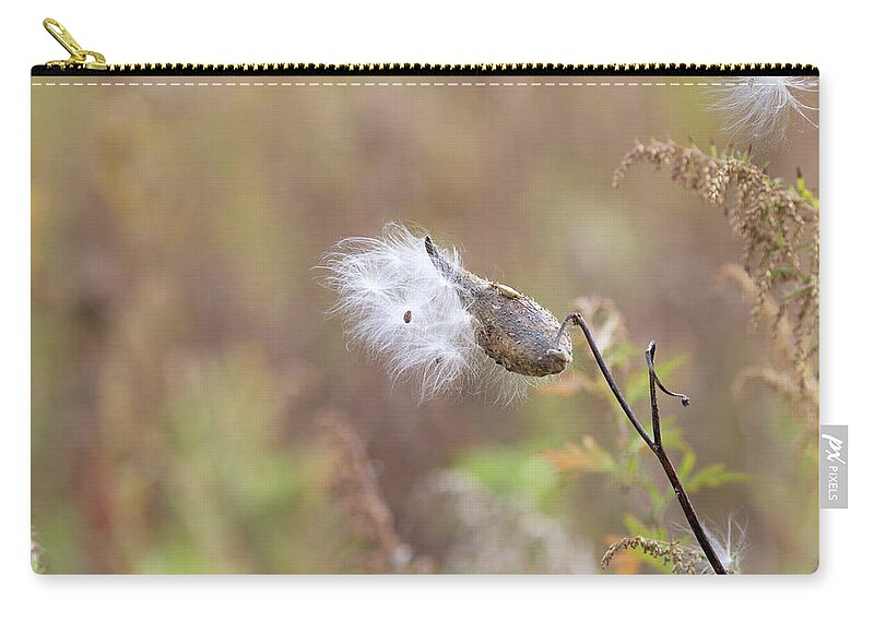 Plants Zip Pouch featuring the photograph Nature Photography - Milkweed by Amelia Pearn