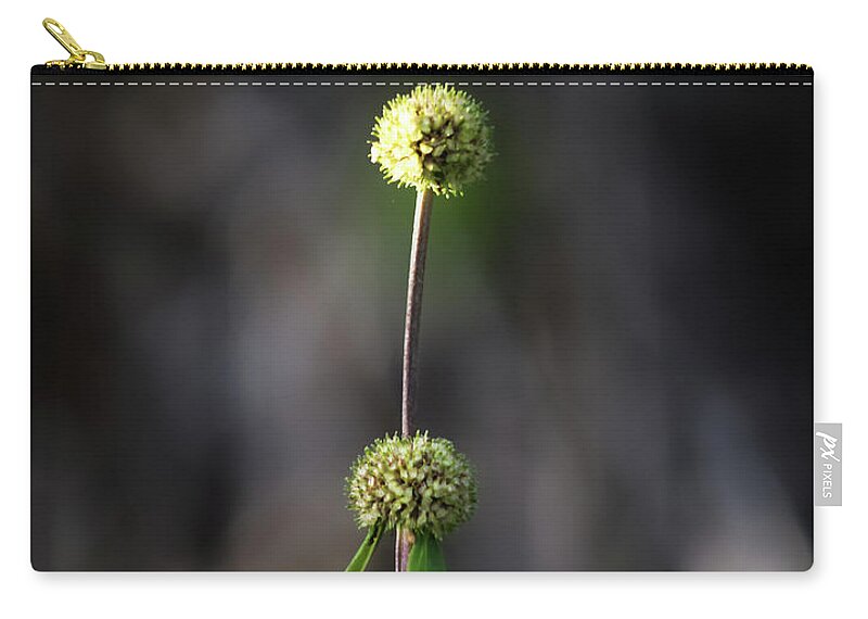 Nature Art Zip Pouch featuring the photograph Nature Pic 2 by Gian Smith