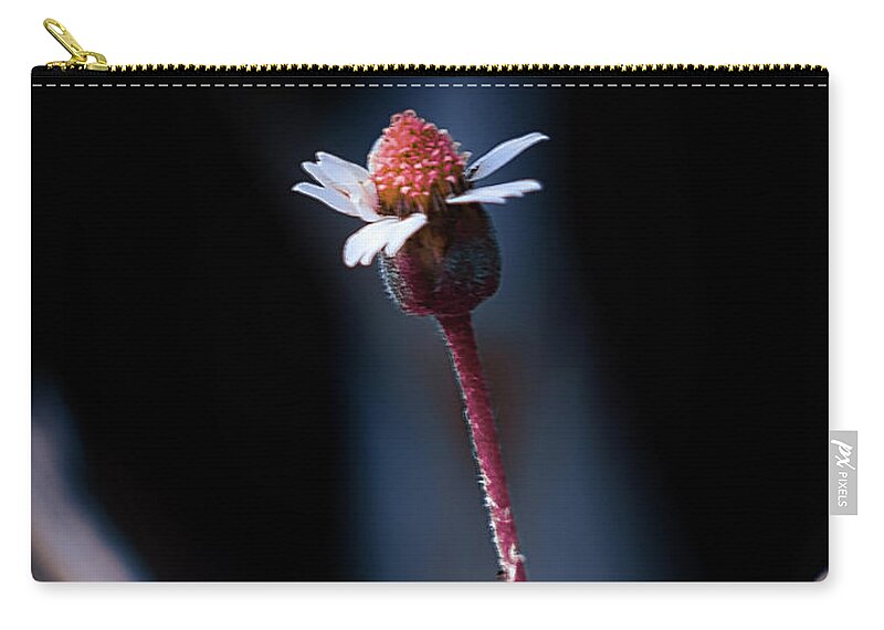 Nature Art Zip Pouch featuring the photograph Nature Pic 4 by Gian Smith
