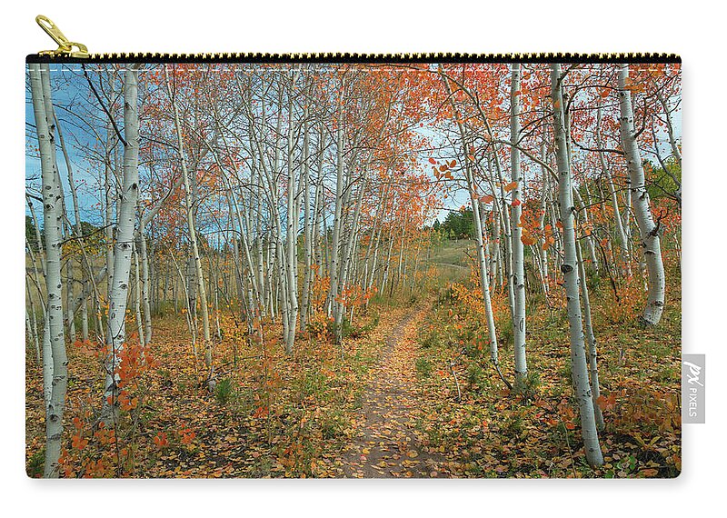 September Zip Pouch featuring the photograph Nature Trail by James BO Insogna