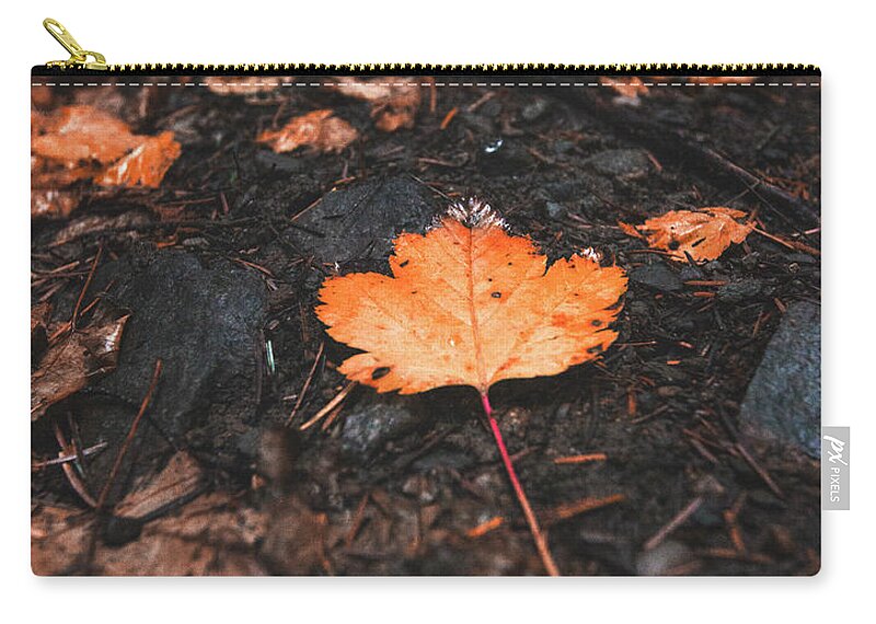 Canada Zip Pouch featuring the photograph Natures Breadcrumbs by Carmen Kern