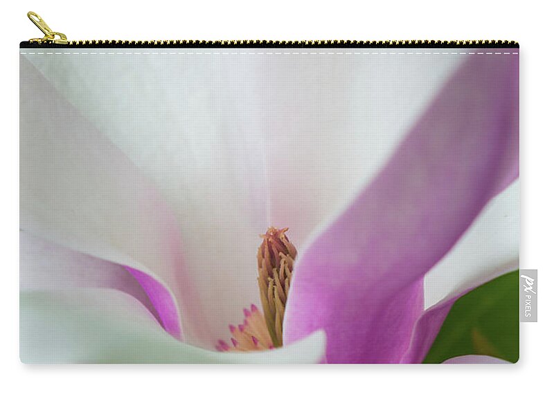 Ohio Zip Pouch featuring the photograph Natures Bud by Stewart Helberg