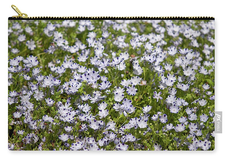 Jenny Rainbow Fine Art Photography Zip Pouch featuring the photograph Nemophila Maculata Blooms 3 by Jenny Rainbow