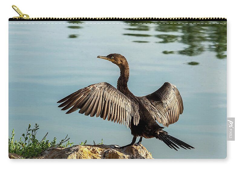 Animal Carry-all Pouch featuring the photograph Neotropic Cormorant with Wings Spread by Jeff Goulden