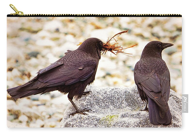 Crows Zip Pouch featuring the photograph Nesting Crows by Peggy Collins