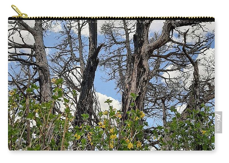 Burn Zip Pouch featuring the photograph New Growth by Burned Juniper by Amanda R Wright