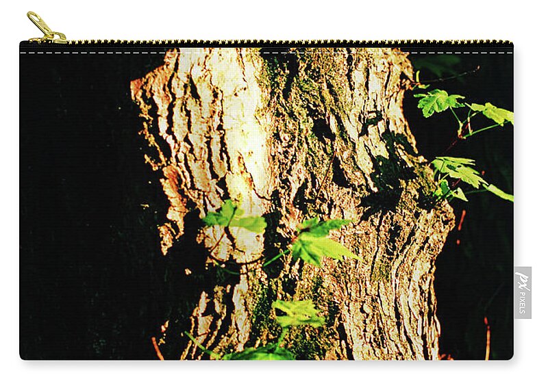 Nature Carry-all Pouch featuring the photograph New Growth in Springtime by Steve Ember
