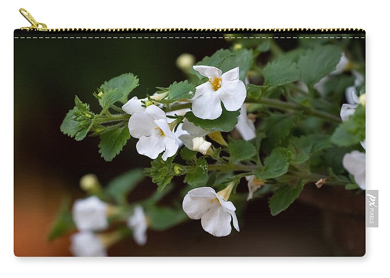 Flower Zip Pouch featuring the photograph New White Flowers by Linda Bonaccorsi