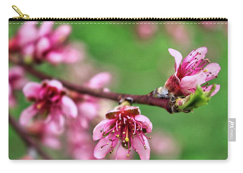 Newark Zip Pouch featuring the photograph Newark Cherry Blossom Series - 11 by Christopher Lotito
