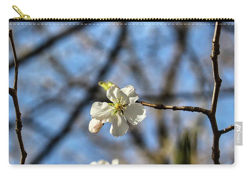 Newark Zip Pouch featuring the photograph Newark Cherry Blossom Series - 7 by Christopher Lotito