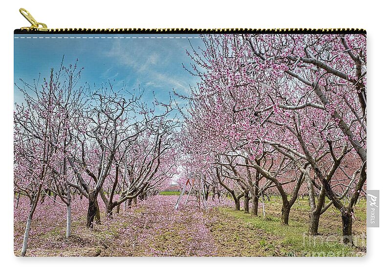 Blossoms Zip Pouch featuring the photograph Niagara's Blossom Trail - Trimming Time by Marilyn Cornwell