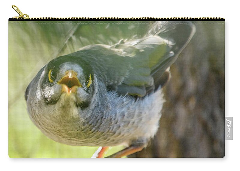 Bird Zip Pouch featuring the photograph Noisy Miner 03 by Werner Padarin