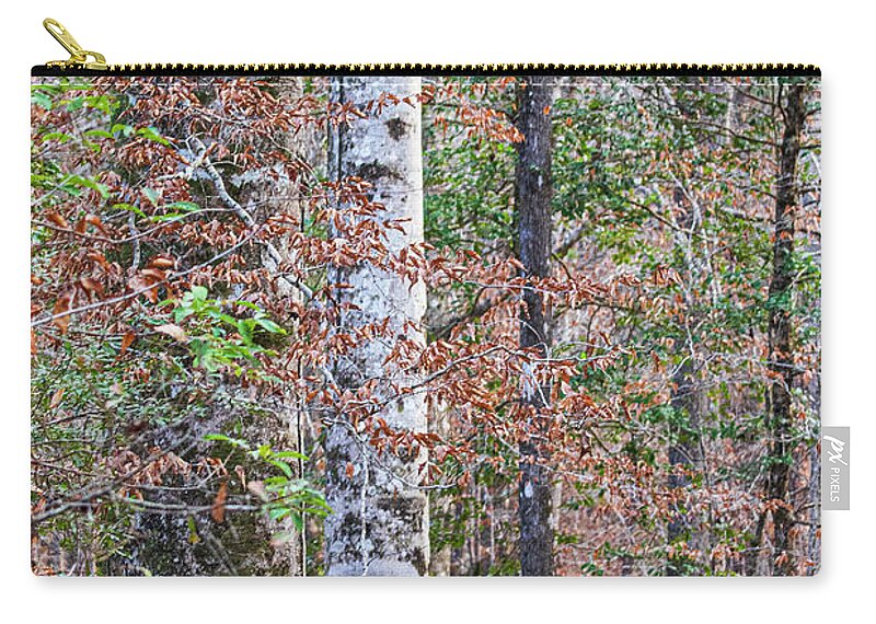 Hike Zip Pouch featuring the photograph North Carolina Winter Scene Along the Trail by Bob Decker