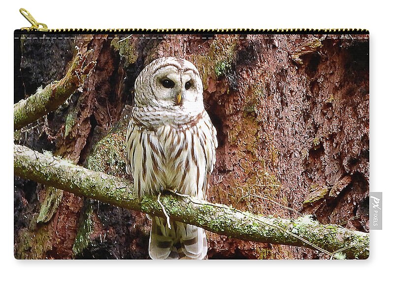 Barred Owl Zip Pouch featuring the photograph Northern Barred Owl by Scott Cameron