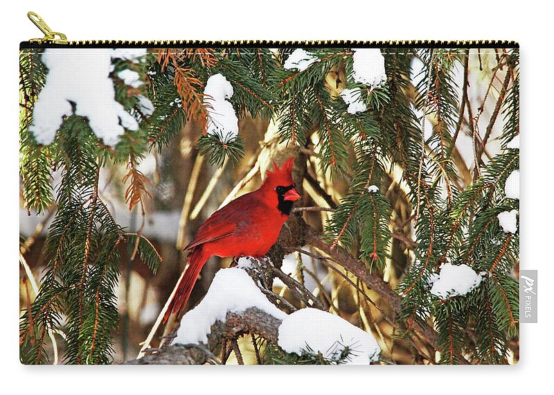 Northern Red Cardinal Zip Pouch featuring the photograph Northern Cardinal In Winter by Debbie Oppermann