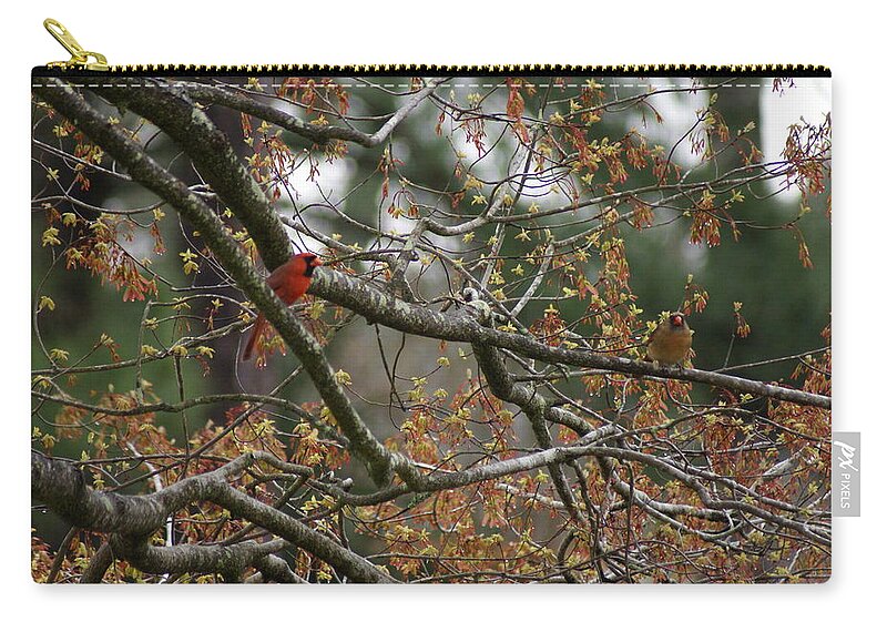  Carry-all Pouch featuring the photograph Northern Cardinal Male by Heather E Harman