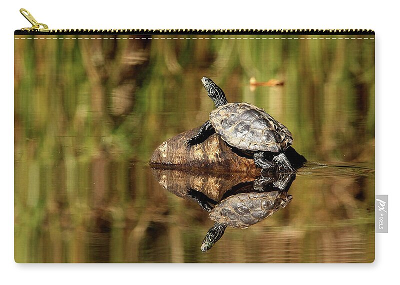 Turtles Zip Pouch featuring the photograph Northern Map Turtle by Debbie Oppermann