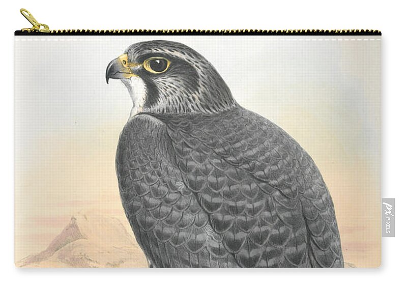 Norwegian Gyrfalcon Zip Pouch featuring the drawing Norwegian Gyrfalcon. John Gould by World Art Collective