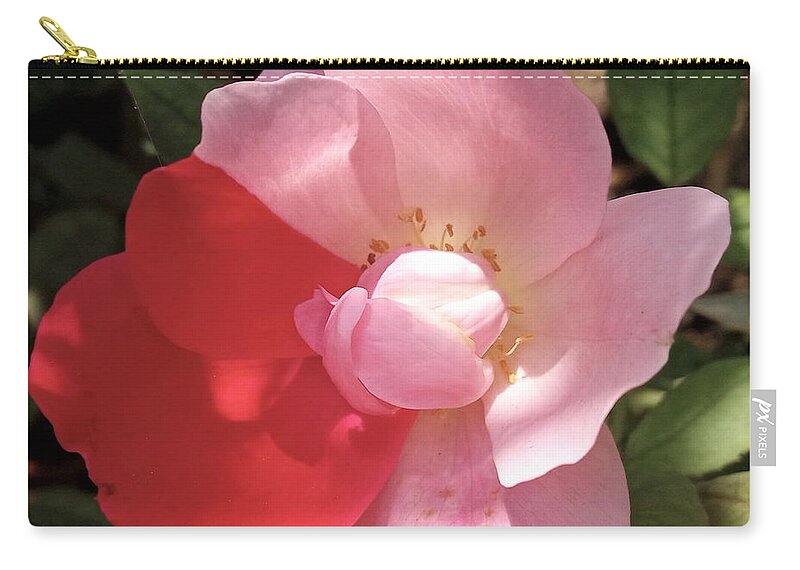 Pink Zip Pouch featuring the photograph Not Sure of WHAT Color I Should Be by Vickie G Buccini
