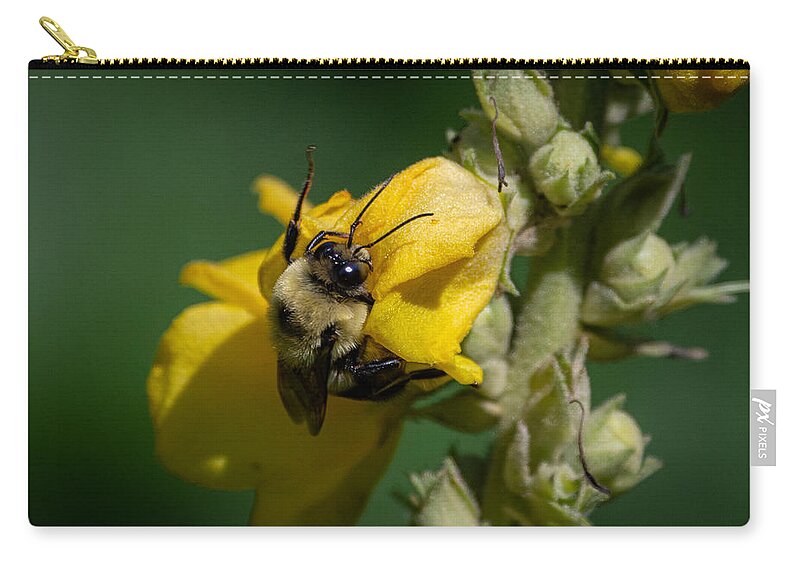 Bumblebee Carry-all Pouch featuring the photograph Not taking the Littles for Granted by Linda Bonaccorsi