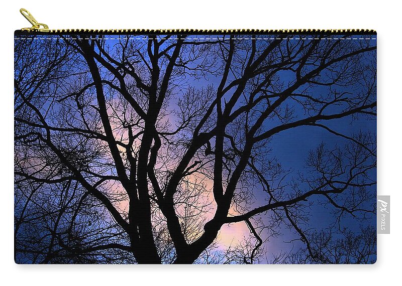 Tree Zip Pouch featuring the photograph November Sky by Mary Walchuck