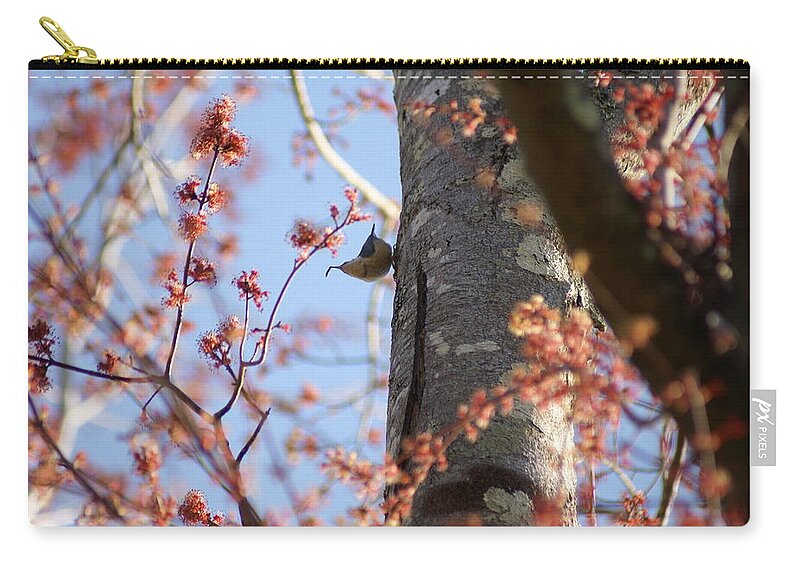  Carry-all Pouch featuring the photograph Nuthatch Treat by Heather E Harman