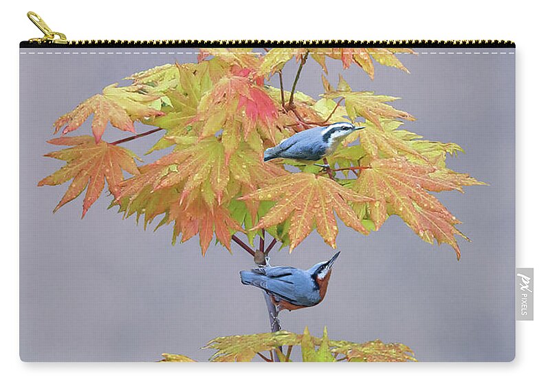 Birds Zip Pouch featuring the digital art Nuthatches after a Sunshower by M Spadecaller