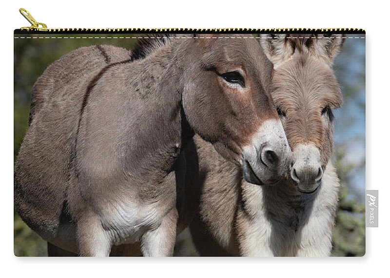 Wild Burros Zip Pouch featuring the photograph Nuzzles by Mary Hone