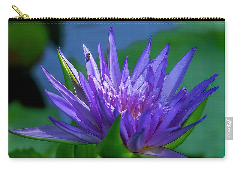 Nature Zip Pouch featuring the photograph Nymphaea Water Lily DTHN0316 by Gerry Gantt