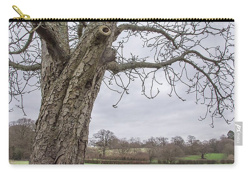 Oak Hill Park Zip Pouch featuring the photograph Oak Hill Park Trees Winter by Edmund Peston