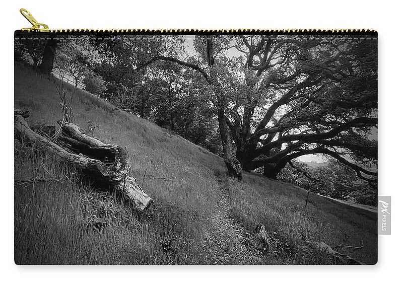 Legacy Oaks Zip Pouch featuring the photograph Oak in San Rafael Open Space by John Parulis