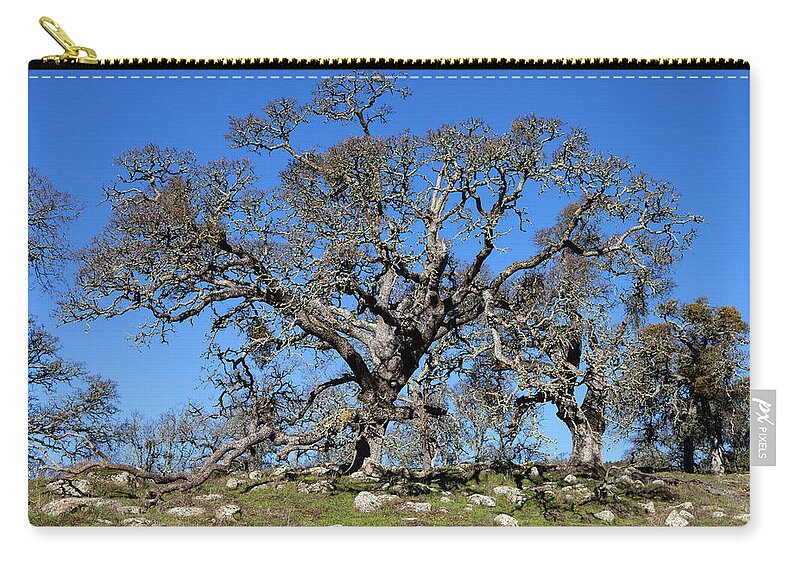 Tree Zip Pouch featuring the photograph Oak Tree and Rocks by Rick Pisio