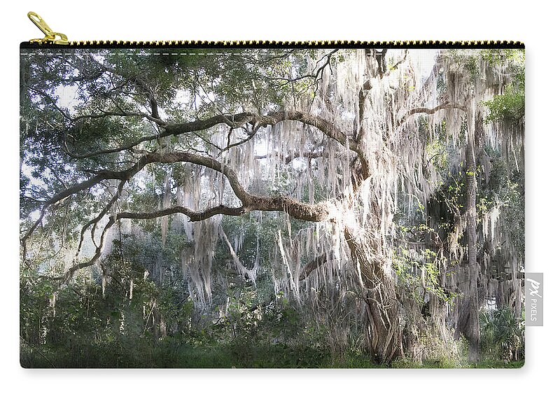 Oak Tree And Spanish Moss Zip Pouch featuring the photograph Oak Tree And Spanish Moss, Circle B Bar Reserve, Lakeland, Florida by Felix Lai